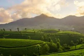 Kerala Tourism Expert